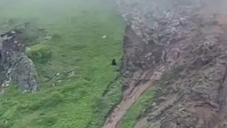 Турист из Новокузнецка встретил двух медведей возле пляжа на Сахалине