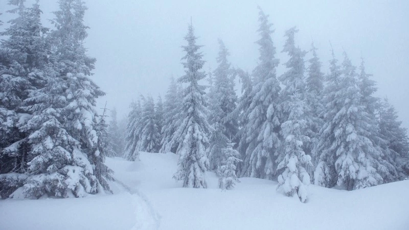 Народные приметы на 16 ноября 2023: что нельзя делать в этот день