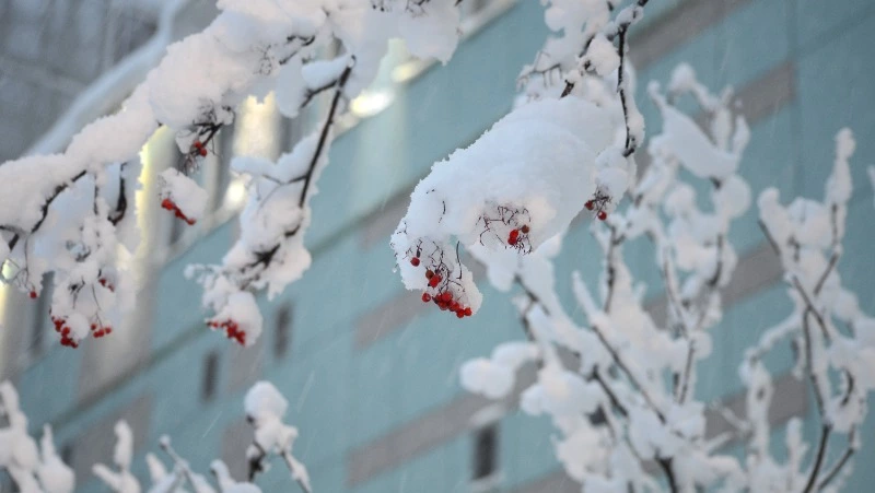 Морозы до −30 и порывистый ветер накроют Сахалин и Курилы 5 февраля