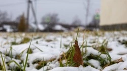 Снег и плюсовую температуру прогнозируют в Сахалинской области 24 марта