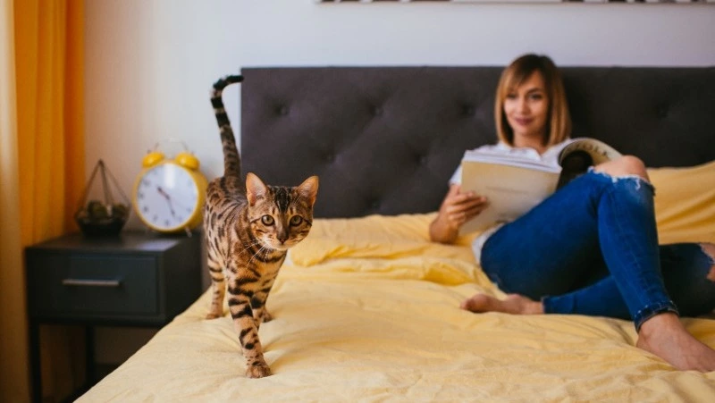 Количество питомцев в квартире ограничат сводом правил жильцов дома в России