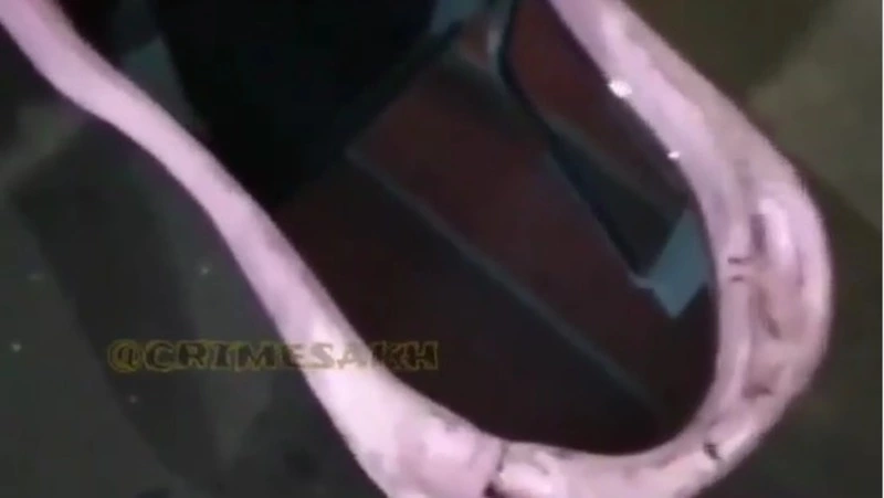 «Дизель» черного цвета выдали на АЗС жителю Поронайска. Машину повезли в ремонт