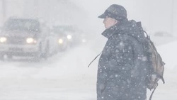 Месячная норма снега выпала на севере Сахалина за серию циклонов