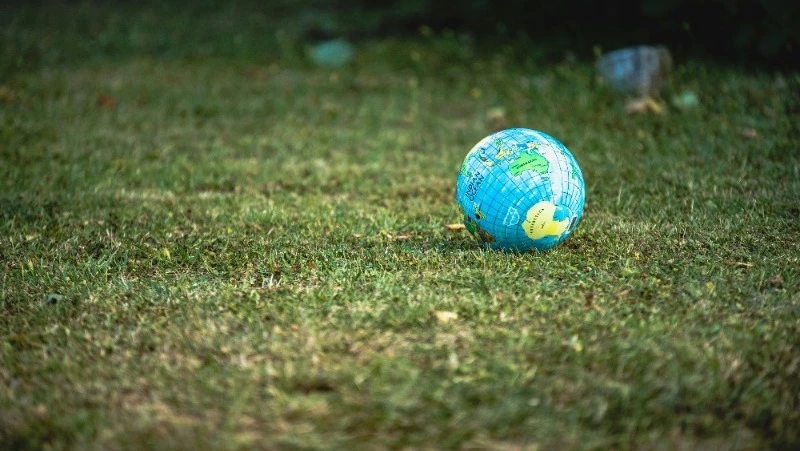 Международный день Земли 2025: история и традиции праздника, как отметить 