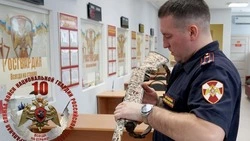 Росгвардия изъяла у сахалинцев 32 единицы оружия за неделю