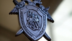 СК начал проверку в отношении избивших школьницу подростков и учебного заведения на Сахалине