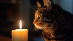 Планировочный район Южно-Сахалинска проведет без света 18 ноября 