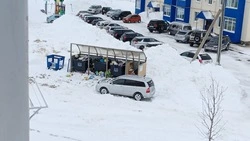 Более 500 площадок для сбора мусора открыли в Южно-Сахалинске 