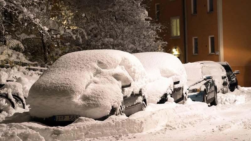 Дороги в снегу и собаки на улицах: Долинск готовит жалобы и вопросы для губернатора