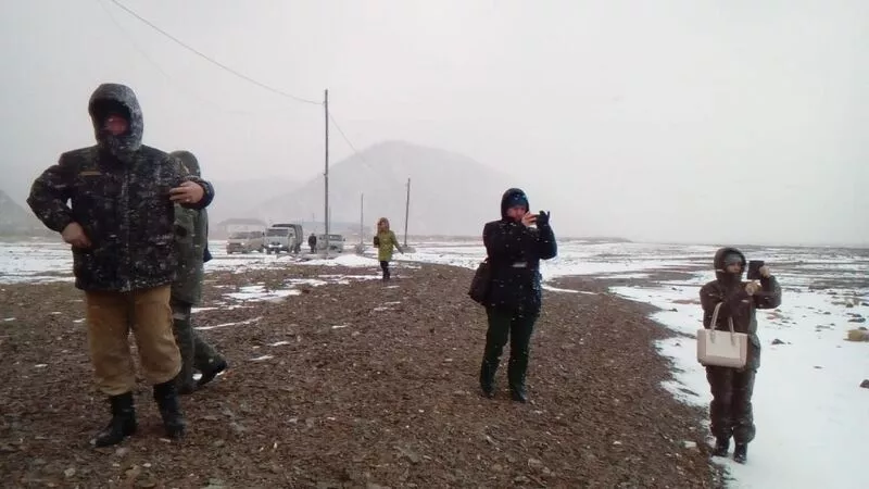 Десятки сахалинцев в дождь и ветер облепили брекватер в Невельске для спасения раненого сивуча