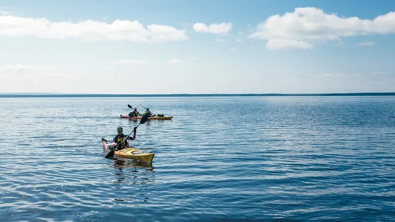 Сахалинские экстремалы обошли малые Курильские острова на каяках за 8 дней