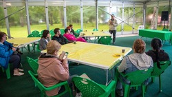 Серия кинопоказов «Встречи с историей» стартовала в городском парке Южно-Сахалинска
