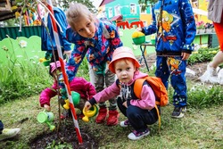 Чемпионы среди детских садов Южно-Сахалинска посадили сакуру в честь своих побед