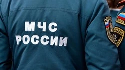 МЧС: гидрологическая обстановка на Сахалине и в Приморье стабилизируется