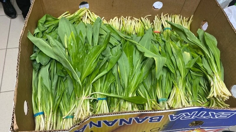 Кубанскую черемшу с запахом гнили продавали в столице Сахалина