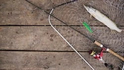 Сахалинские браконьеры наловили штрафов на 205 тысяч рублей с начала года