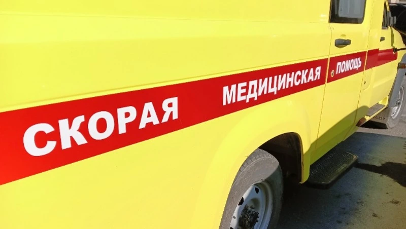 Сухое дерево придавило работника лесопилки в Макарове