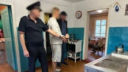 Сбежал после нападения: 19-летнего жителя Костромского обвиняют в попытке убийства пенсионерки