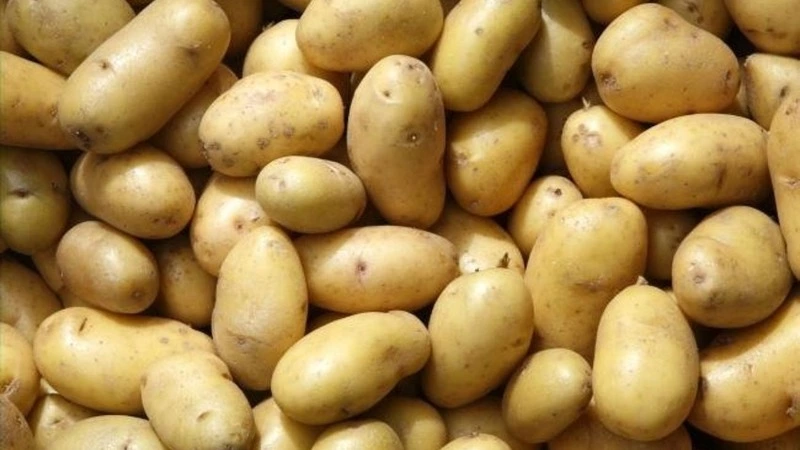 «У кого меньше?»: Дальневосточники сравнили цены на картошечку