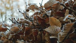 Народные праздники в ноябре 2024 года: полный список по датам