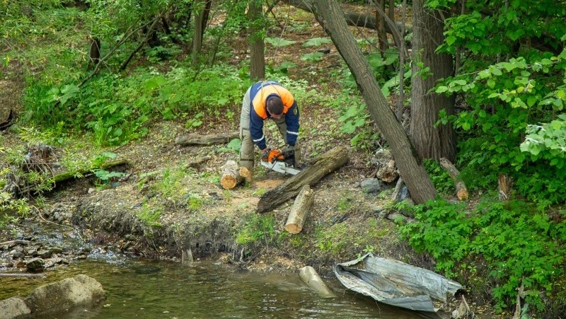 Из рек Южно-Сахалинска убрали почти 70 деревьев 
