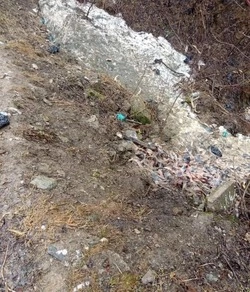 Медведицу с детенышем встретили в районе села Ключи в Южно-Сахалинске