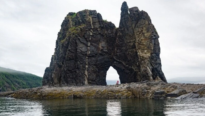 Команда сахалинского проекта «Живая история в школы» получила грант фонда культурных инициатив