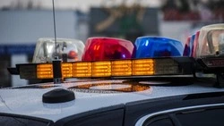 В мэрии Южно-Сахалинска рассказали, что нельзя носить в сумке в День города