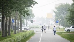 Гарь от пожаров на материке может вернуться на Сахалин