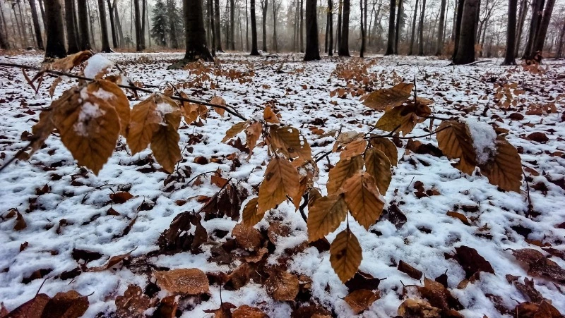 Церковный праздник 16 ноября 2024: что нельзя делать в этот день, приметы