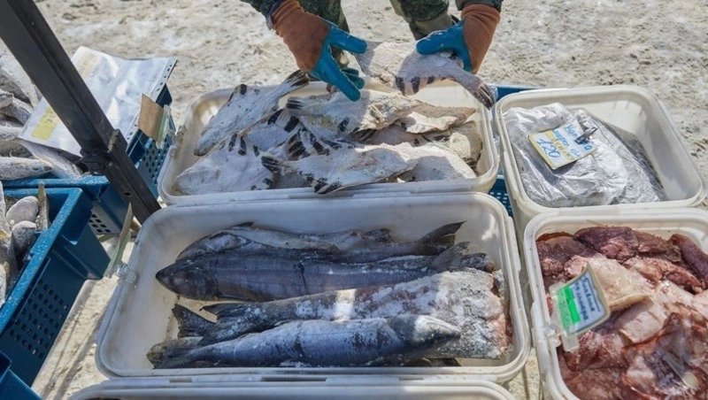 Четыре вида недорогой рыбы предложили жителям Южно-Сахалинска 12 февраля