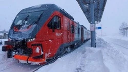 Сахалинские железнодорожники подготовили спецтехнику к зиме
