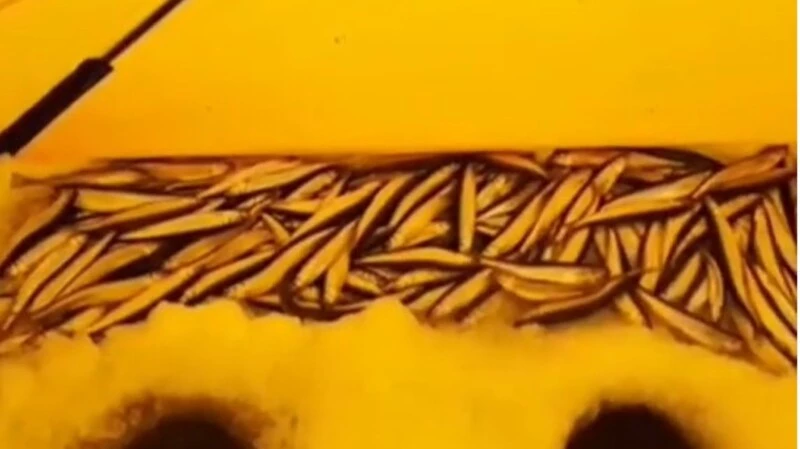 Рыбакам на Малом Буссе фартит с красными крючками