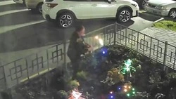 Нетрезвая жительница Холмска разорила цветущую клумбу ради «солнечных» фонариков