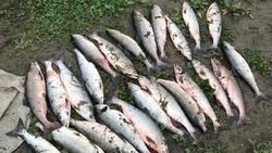 Сахалинские инспекторы рыбоохраны задержали браконьера с ручным сачком