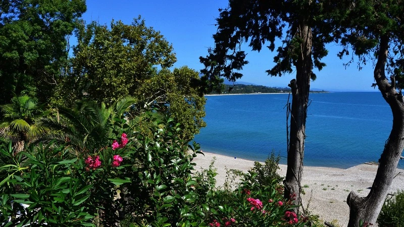 Сколько обойдется сахалинцу отдых в Абхазии и Сочи