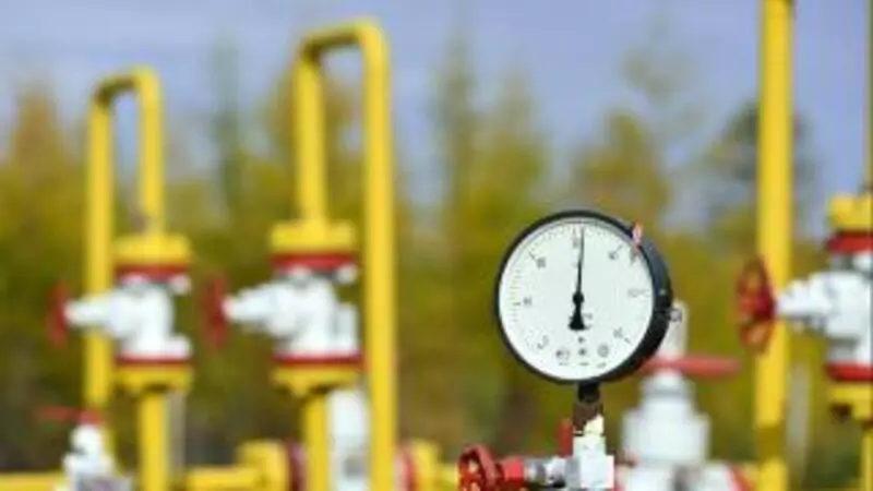 Сахалинцы задолжали за природный газ 3,5 млн рублей