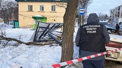 Суд утвердил наказание виновнику смертельного ДТП на остановке Южно-Сахалинска