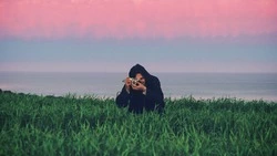 МедиаСаммит, кормление духа и медведи: главные новости выходных в Сахалинской области