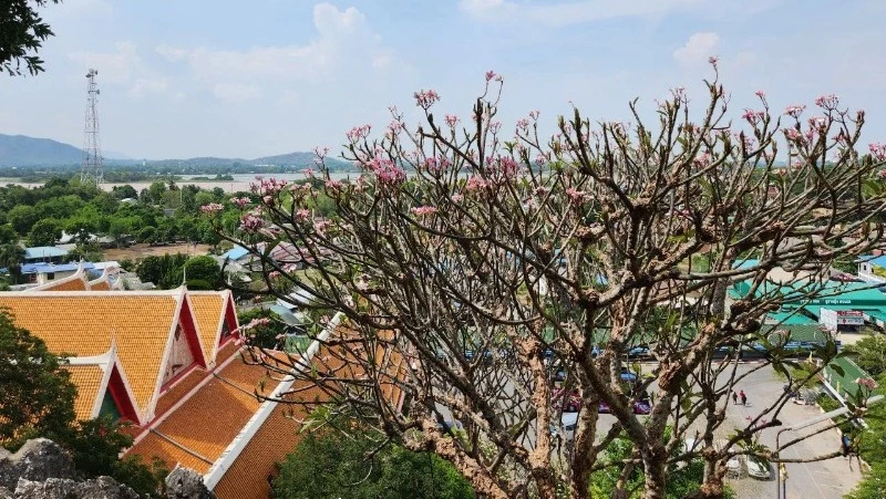 Сахалинцы на новогодние праздники стали чаще летать во Вьетнам, Гонконг и Индию