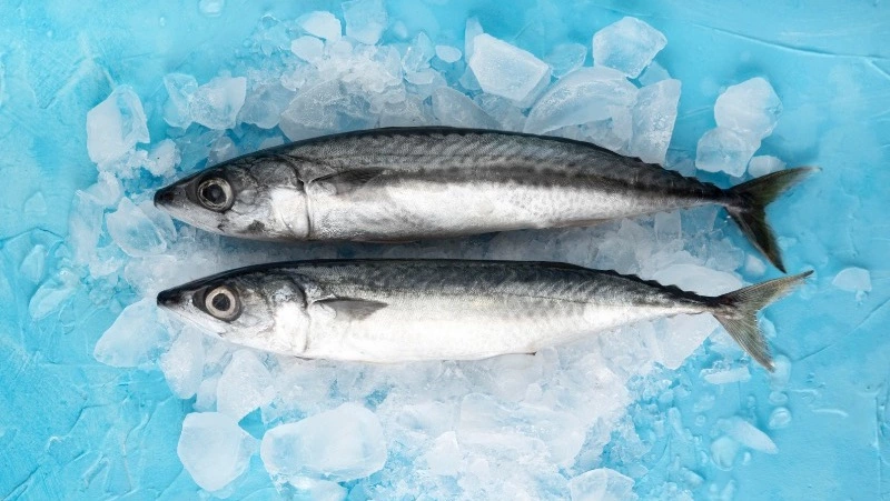 Экспорт рыбы с Сахалина и из Приморья вырос в 4,5 раза за неделю