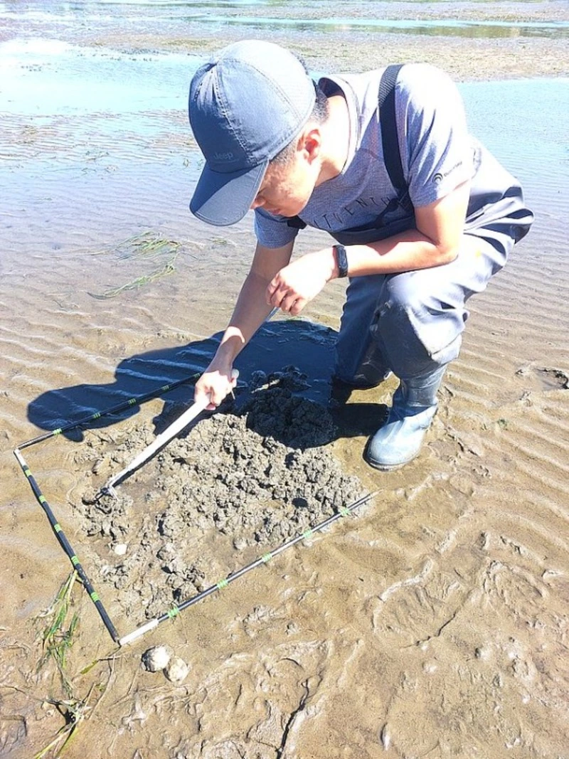 Ученые проверили условия жизни морского петушка в заливе Анива