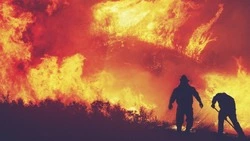 Самолеты «Авроры» могут отправить на поиск лесных пожаров по Дальнему Востоку