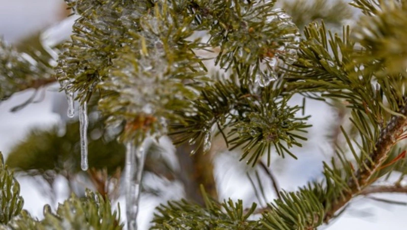 Дороги Южно-Сахалинска покроются гололедицей 8 апреля 