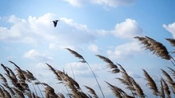 Приметы обо всем на 3 октября 2023 года: что можно и нельзя делать в этот день