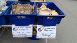 Рыбу по цене от 46 рублей за килограмм доставили в Холмск утром 27 ноября 
