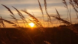 Погода в Южно-Сахалинске на 4 сентября: +25°C и облачно с прояснениями 