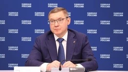 Единая Россия выступила против чрезмерного регулирования бытовых практик
