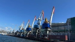 Более 29 тысяч тонн рыбы отправили на экспорт с Сахалина и из Приморья за неделю