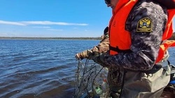 Сахалинская рыбоохрана за неделю забрала 87 незаконных орудий лова у браконьеров
